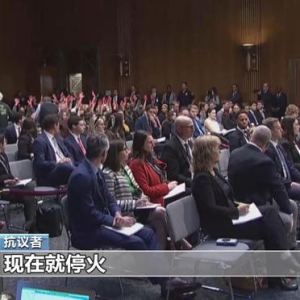 抗议者多次打断美参议院听证会 称美国支持战争可耻