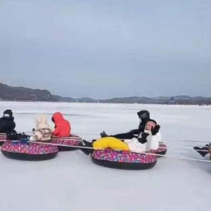 （新春走基层）玩冰嬉雪、包饺子、品民俗 50余名台胞在沈阳迎新春话团圆 ...