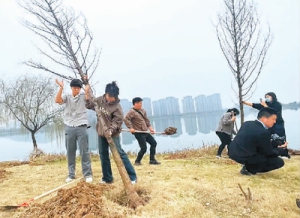 鄂台青年共植友谊树