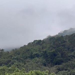 现场直击｜新华社记者直击台湾花莲地震：阴雨中救援有序进行 ...