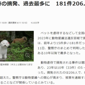 2023年日本超200人因虐待动物被捕 虐待案件10年激增5倍 ...