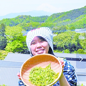 外国乡村游，有好茶好酒好画