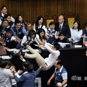 立法机构内的“全省第一武道会”