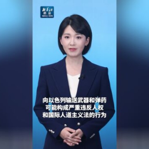 新华社消息｜联合国专家敦促相关国家和企业停止向以色列输送武器 ...