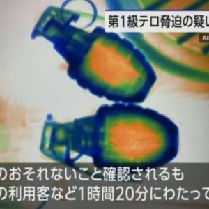 夏威夷岛机场安检查出手榴弹 日本男子被控“一级重罪” ...