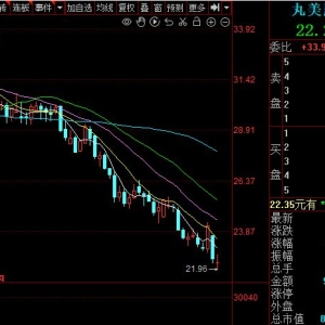 丸美市值失守100亿，老板孙怀庆要顶格减持？