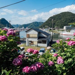 大地震预警惹担忧 日本住宿业遭大量退订