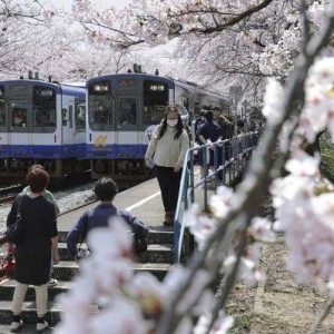 日本大地震预警，劝退火爆的赴日旅游了吗？