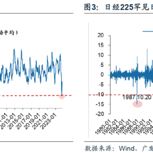 广发戴康：直击日股巨震核心—微观结构恶化