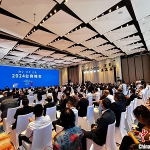 近200名两岸工商界人士齐聚 2024台商峰会促琼台合作