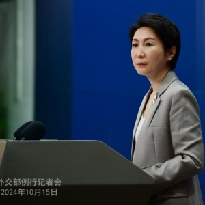 大熊猫“宝力”“青宝”启程前往美国华盛顿 外交部回应 ...