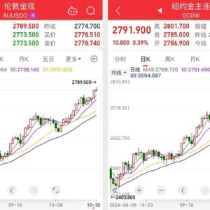 金价狂飙！再创历史新高