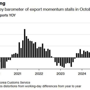 全球经济“金丝雀”10月出口增长放缓 芯片出口增速反弹至40% ...