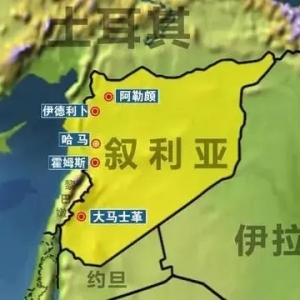 战事急速恶化！叙利亚总统府：阿萨德离开首都是谣言！美国敦促国民撤离 ...