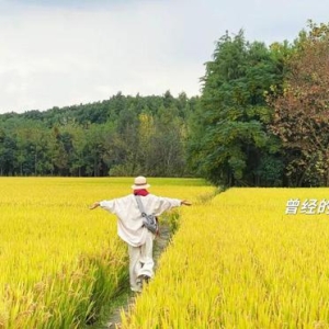 到底怎么刺激才够？一切要看，这个最关键的信号