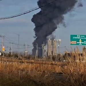 韩国客机撞墙起火事故已致28人死亡 客机疑似撞鸟 起落架未放下 ...