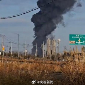 最新：韩国客机起火已致 28 人死亡