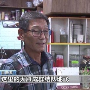 韩国客机失事目击者回忆：曾听到多次爆炸声 客机或遭大雁撞击 ...