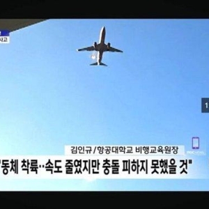 鸟击导致韩国客机事故？航空专家质疑