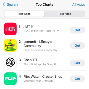 TikTok面临被禁 小红书在美走红
