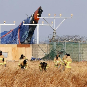 韩国济州航空失事客机的两个引擎中均发现鸟类羽毛