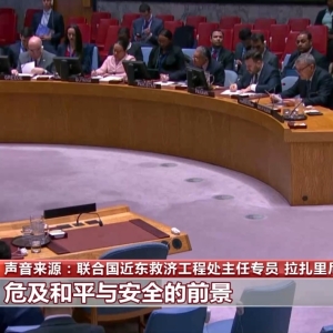 联合国近东救济工程处称以色列禁令将带来灾难性影响 ...