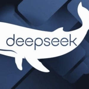 多国给DeepSeek使用设限