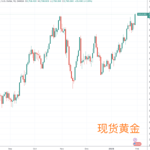 国际金价再创历史新高 关键因素还是特朗普