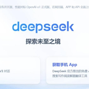 DeepSeek的处境极其危险