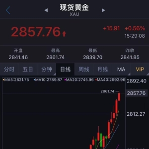 金价狂飙！一夜涨了 11 元，突破 860 元 / 克！女白领跨城买它：排了好长的 ...