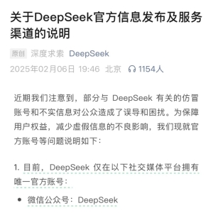 超2000个山寨DeepSeek网站出现！六成IP在美国