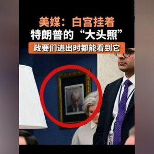 美媒：特朗普“嫌犯大头照”被挂在白宫办公室外