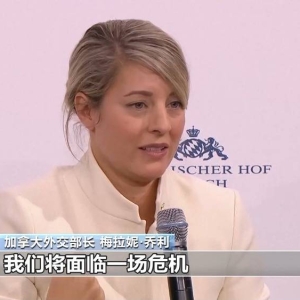 多国政商界人士批美挥舞“关税大棒”：或引发贸易战损害全球经济 ...