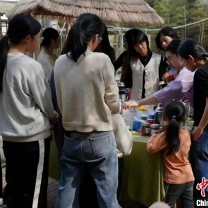 古老茶乡飘出新滋味  浙江湖州“春茶经济”焕发乡村新产业 ...